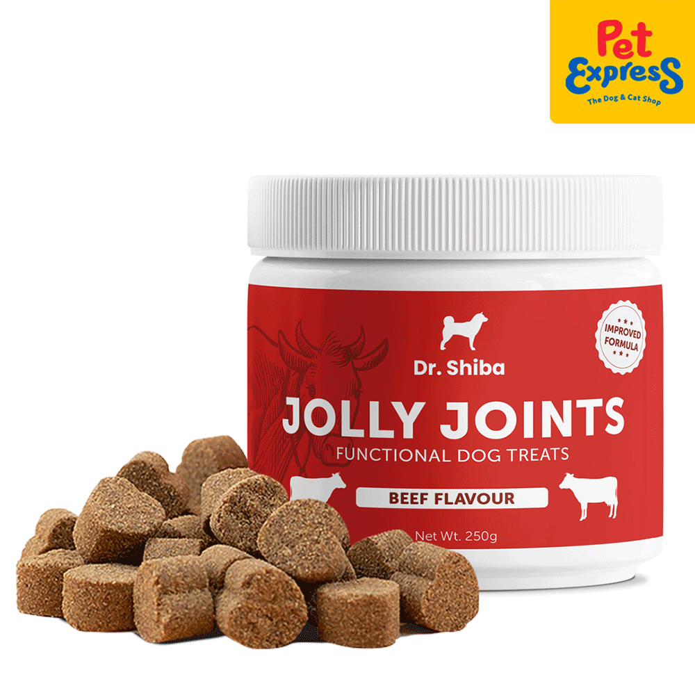 Dr. Shiba Jolly Joints Beef Dog Treats 250g Pet Express