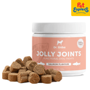 Dr. Shiba Jolly Joints Salmon Dog Treats 250g