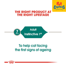 Royal Canin Feline Health Nutrition Senior Instinctive Wet Cat Food 85g (12 pouches)