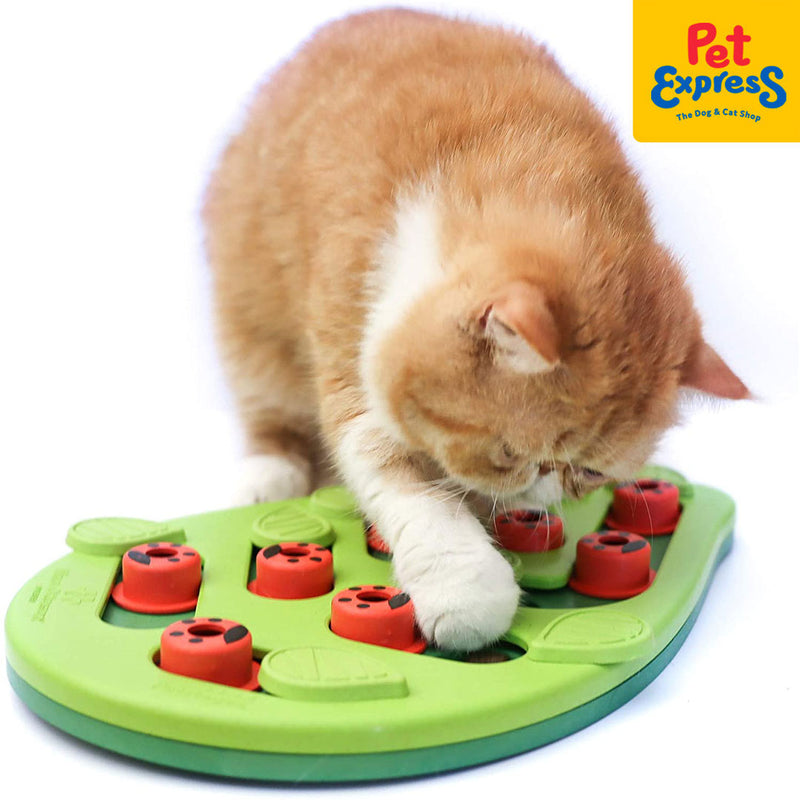 Nina Ottosson Melon Madness Puzzle & Play Cat Treat Puzzle from Petstages  Review! 