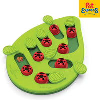 Nina Ottosson Stages Buggin Out Puzzle and Play Level 2 Cat Toy