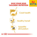 Royal Canin Breed Health Nutrition Adult Chihuahua Wet Dog Food 85g (12 pouches)