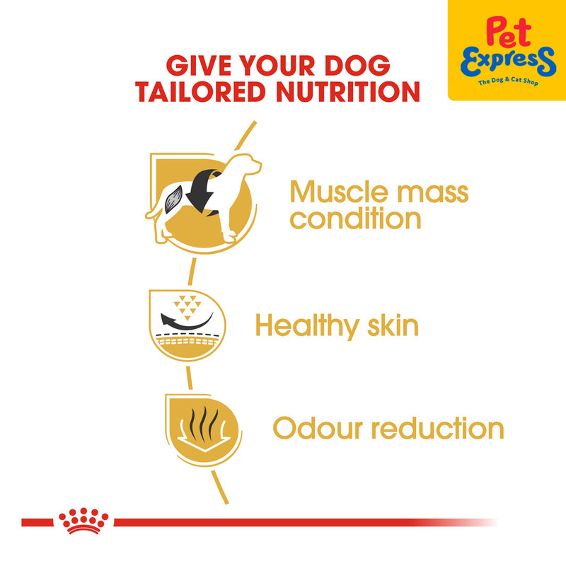 Royal Canin Breed Health Nutrition Adult French Bulldog Dry Dog Food 3kg
