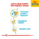 Royal Canin Breed Health Nutrition Puppy French Bulldog Dry Dog Food 3kg