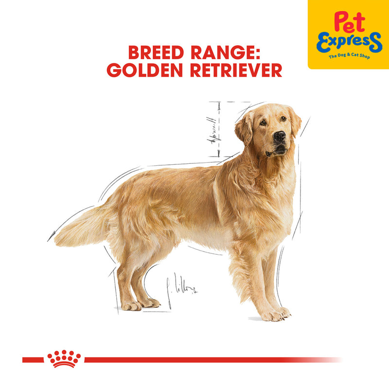Royal Canin Breed Health Nutrition Adult Golden Retriever Dry Dog Food 3kg
