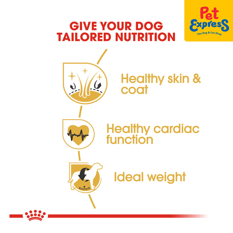 Royal Canin Breed Health Nutrition Adult Golden Retriever Dry Dog Food 3kg