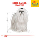 Royal Canin Breed Health Nutrition Adult Maltese Dry Dog Food 1.5kg