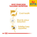 Royal Canin Breed Health Nutrition Adult Maltese Dry Dog Food 1.5kg