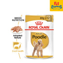 Royal Canin Breed Health Nutrition Adult Poodle Wet Dog Food 85g (12 pouches)