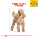 Royal Canin Breed Health Nutrition Adult Poodle Wet Dog Food 85g (12 pouches)