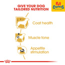 Royal Canin Breed Health Nutrition Adult Poodle Wet Dog Food 85g (12 pouches)