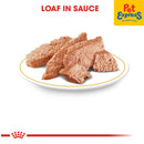 Royal Canin Breed Health Nutrition Adult Dachshund Wet Dog Food 85g (12 pouches)