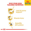 Royal Canin Breed Health Nutrition Adult Dachshund Wet Dog Food 85g (12 pouches)