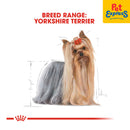 Royal Canin Breed Health Nutrition Adult Yorkshire Terrier Dry Dog Food 1.5kg