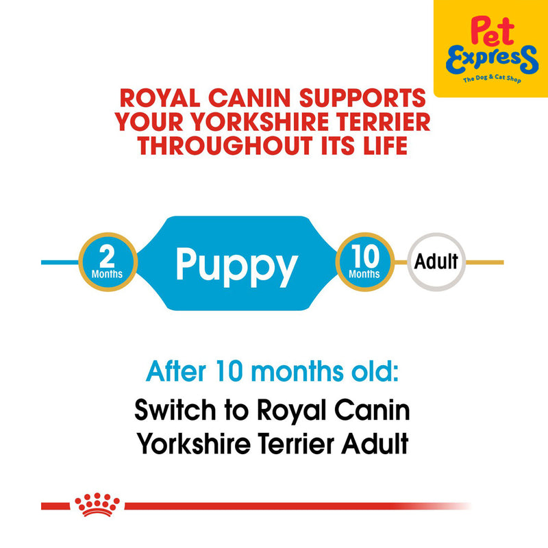 Royal Canin Breed Health Nutrition Puppy Yorkshire Terrier Dry Dog Food 1.5kg