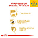 Royal Canin Breed Health Nutrition Adult Yorkshire Terrier Dry Dog Food 1.5kg