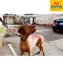 EzyDog Checkmate Dog Collar Medium Blue