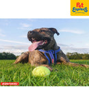 EzyDog Chestplate Dog Harness Large Blue