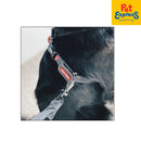 EzyDog Cross Check Dog Harness Small Red