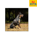 EzyDog Cross Check Dog Harness Extra Small Black