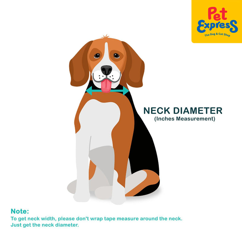 Doggo Strong Collar Small Red