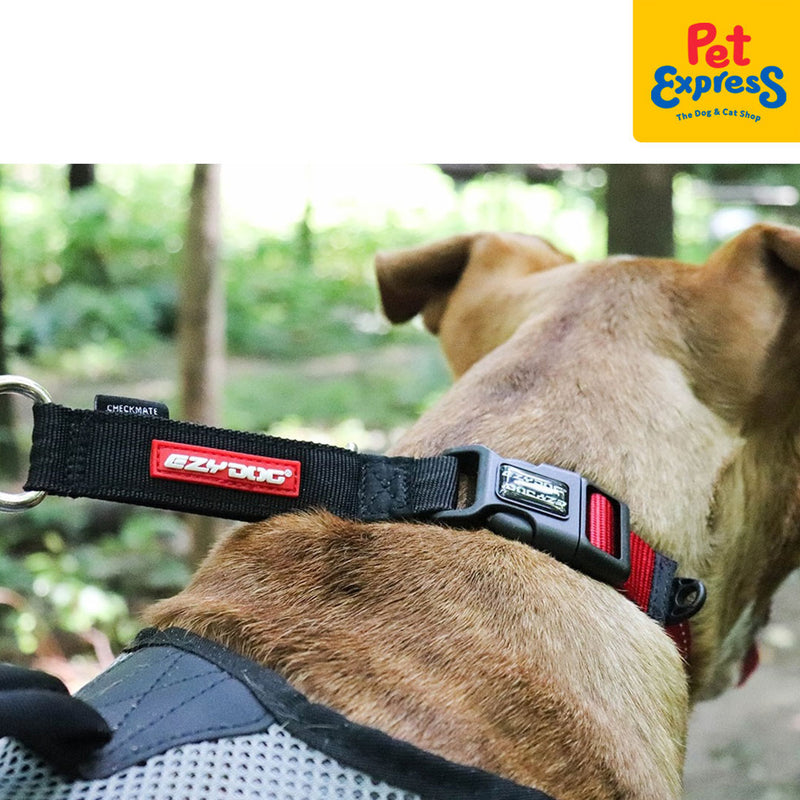 EzyDog Checkmate Dog Collar Medium Red
