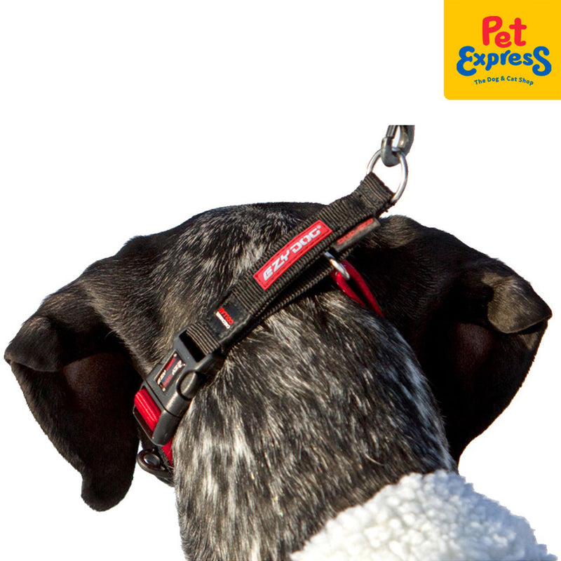EzyDog Checkmate Dog Collar Medium Red