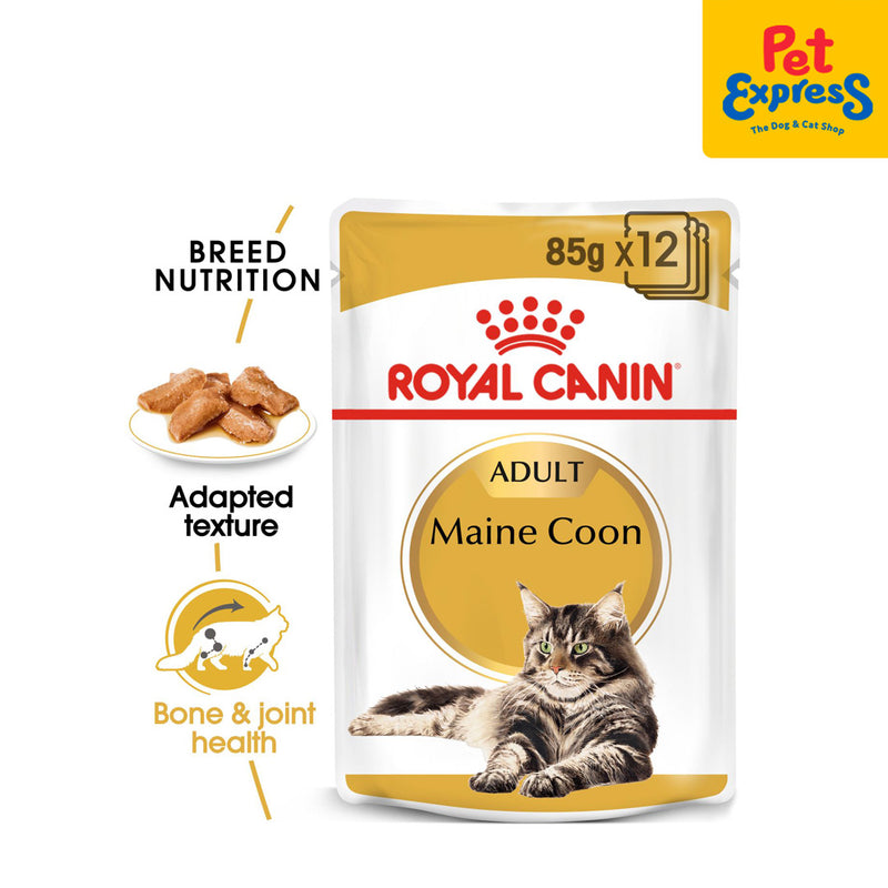 Royal Canin Feline Breed Nutrition Adult Maine Coon Wet Cat Food 85g (12 pouches)