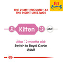 Royal Canin Feline Health Nutrition Kitten Dry Cat Food 10kg