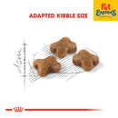 Royal Canin Feline Health Nutrition Kitten Dry Cat Food 2kg