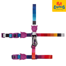 Zee.Cat Prisma H-Harness and Leash Set