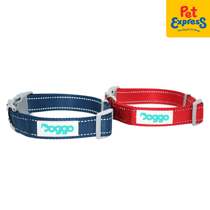 Extra large deals cat collars