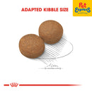 Royal Canin Size Health Nutrition Adult Maxi Dry Dog Food 15kg