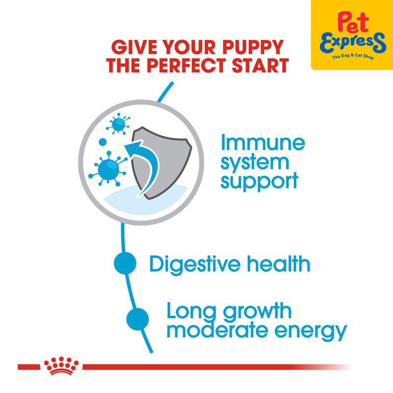 Royal Canin Size Health Nutrition Puppy Maxi Dry Dog Food 4kg