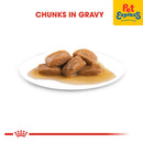 Royal Canin Size Health Nutrition Adult Maxi Wet Dog Food 140g (10 pouches)