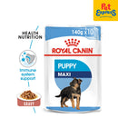 Royal Canin Size Health Nutrition Puppy Maxi Wet Dog Food 140g (10 pouches)