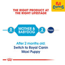 Royal Canin Size Health Nutrition Maxi Starter Mother and Baby Dry Dog Food 4kg