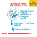 Royal Canin Size Health Nutrition Maxi Starter Mother and Baby Dry Dog Food 4kg