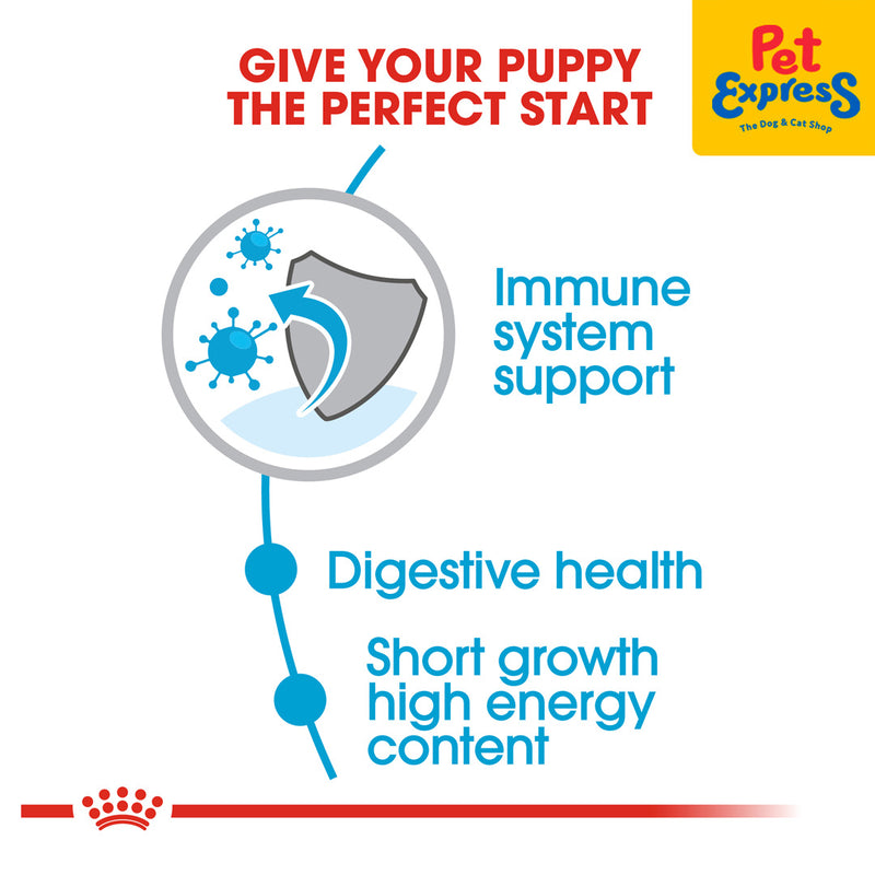 Royal Canin Size Health Nutrition Puppy Medium Dry Dog Food 4kg
