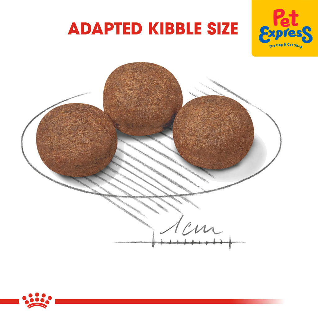 Royal canin best sale medium junior 4kg