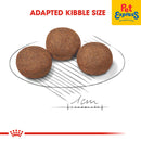 Royal Canin Size Health Nutrition Puppy Medium Dry Dog Food 4kg