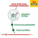 Royal Canin Size Health Nutrition Adult Mini Dry Dog Food 8kg