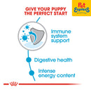 Royal Canin Size Health Nutrition Puppy Mini Dry Dog Food 2kg (EXPIRATION DATE: APRIL 20, 2026)