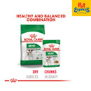 Royal Canin Size Health Nutrition Adult Mini Wet Dog Food 85g (12 pouches)