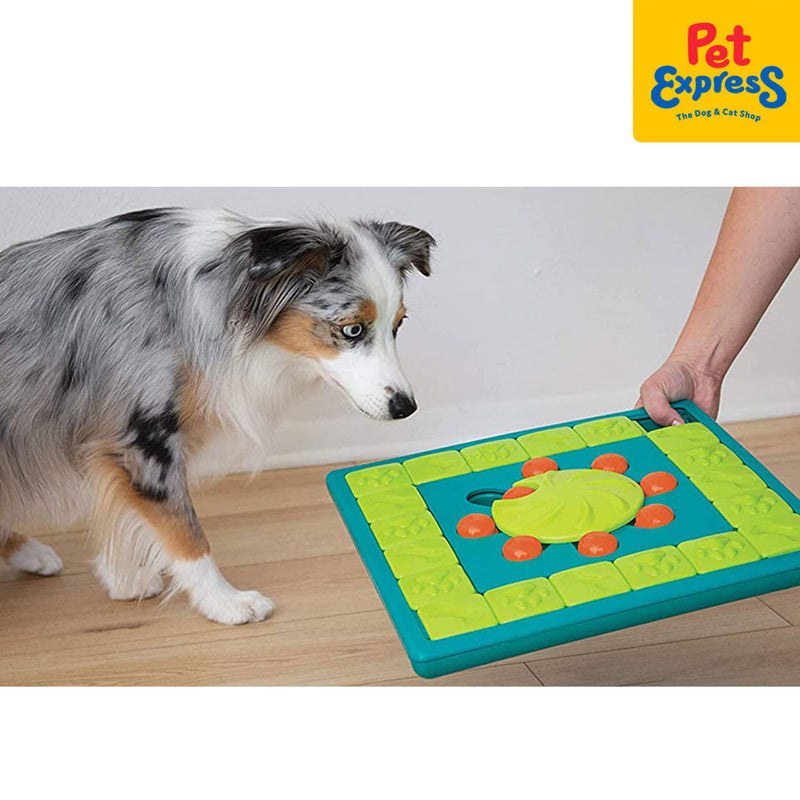 Nina Ottosson Toy Multi Puzzle Level 4 Dog Toy Pet Express