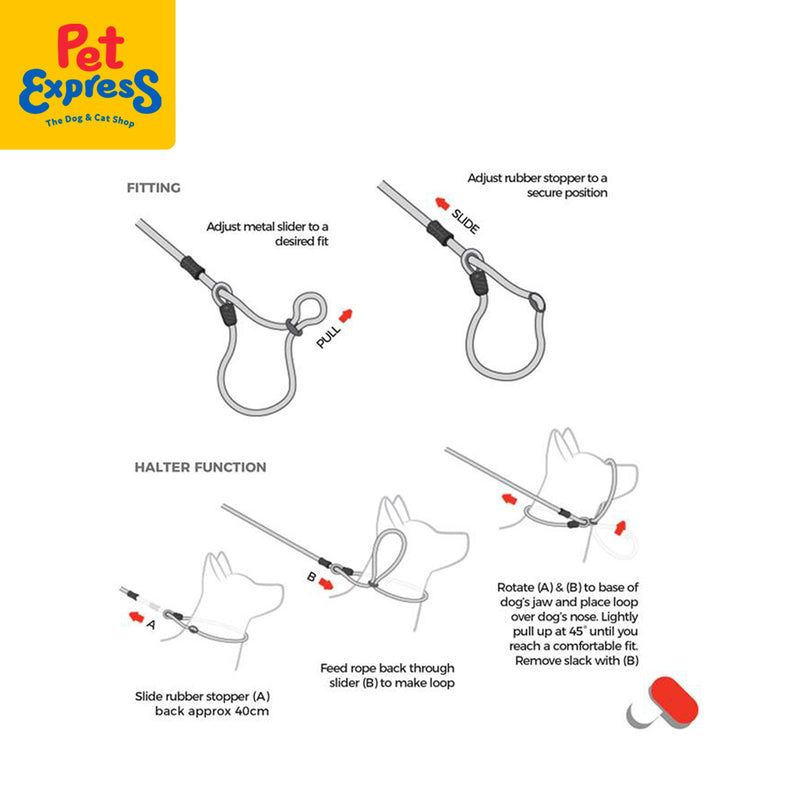 EzyDog Luca Standard Dog Leash Red