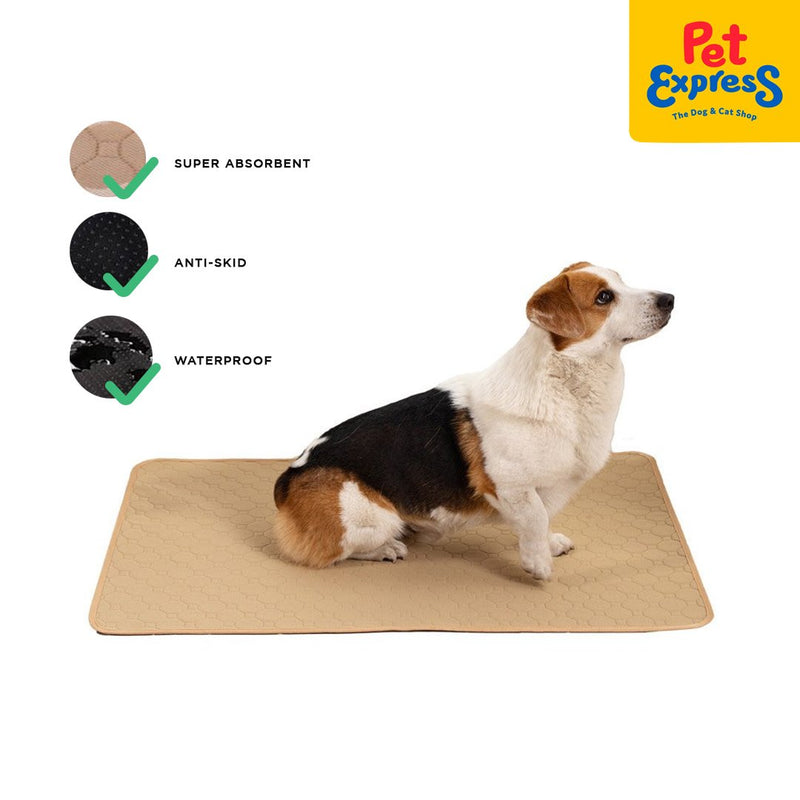 Pet Express Premium Washable Training Pad 70x100 Beige