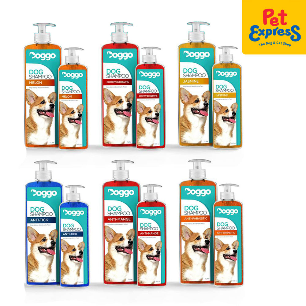 Doggo Dog Shampoo Anti Mange 1L Pet Express